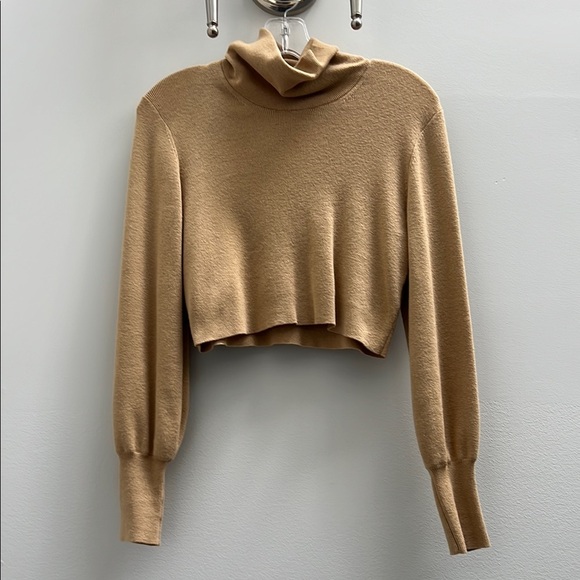 Aritzia Wilfred Cropped Tan Turtleneck Sweater - Picture 1 of 5
